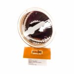 Clay Paky Elliptic reflector for Alpha Profile - 080493/001