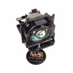 Panasonic - ET-LAD10000 Beamer bulb