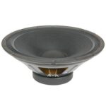 Eminence Delta 15A Speaker