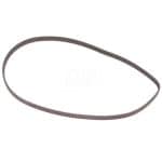 Robe Robin Pointe Tilt Belt